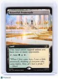2025 Magic: The Gathering—Bountiful Promenade #461 MSC—R Nonfoil (Extended Art)