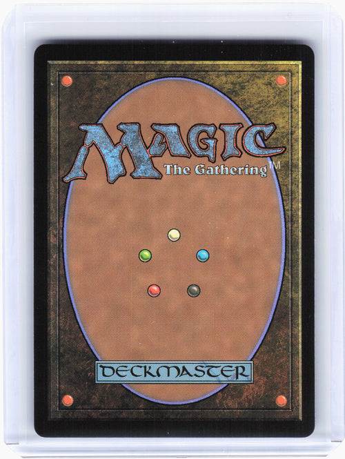 2025 Magic: The Gathering—Bountiful Promenade #461 MSC—R Nonfoil (Extended Art)