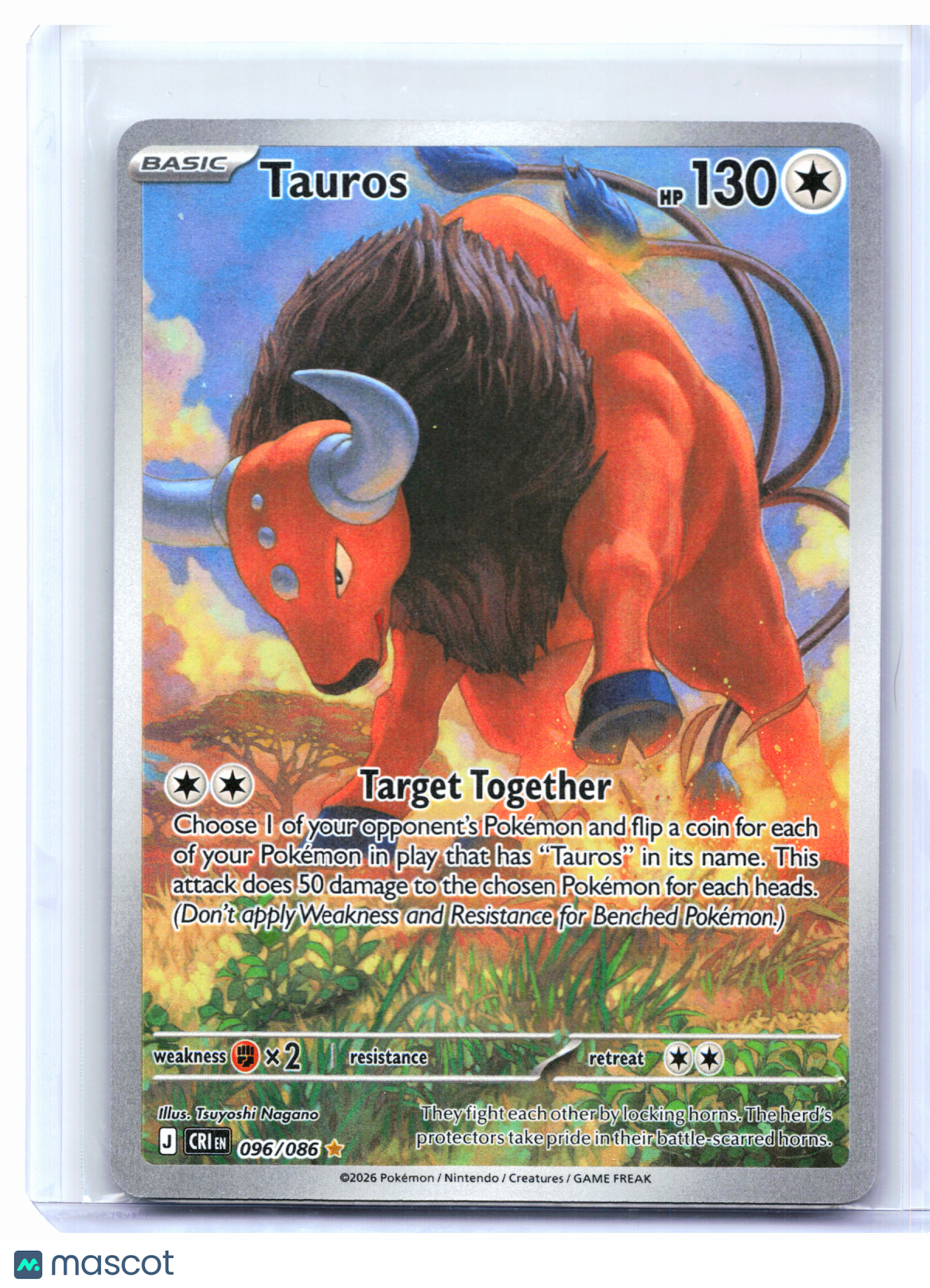 2026 Pokemon—Tauros #096/086 Chaos Rising—Illustration Rare Holo