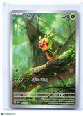 2026 Pokemon—Chespin #087/086 Chaos Rising—Illustration Rare Holo