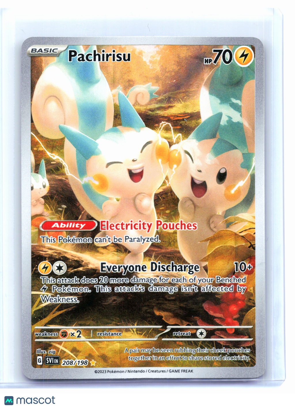 2023 Pokemon—Pachirisu #208/198 Scarlet & Violet Base Set—Illustration Rare Holo