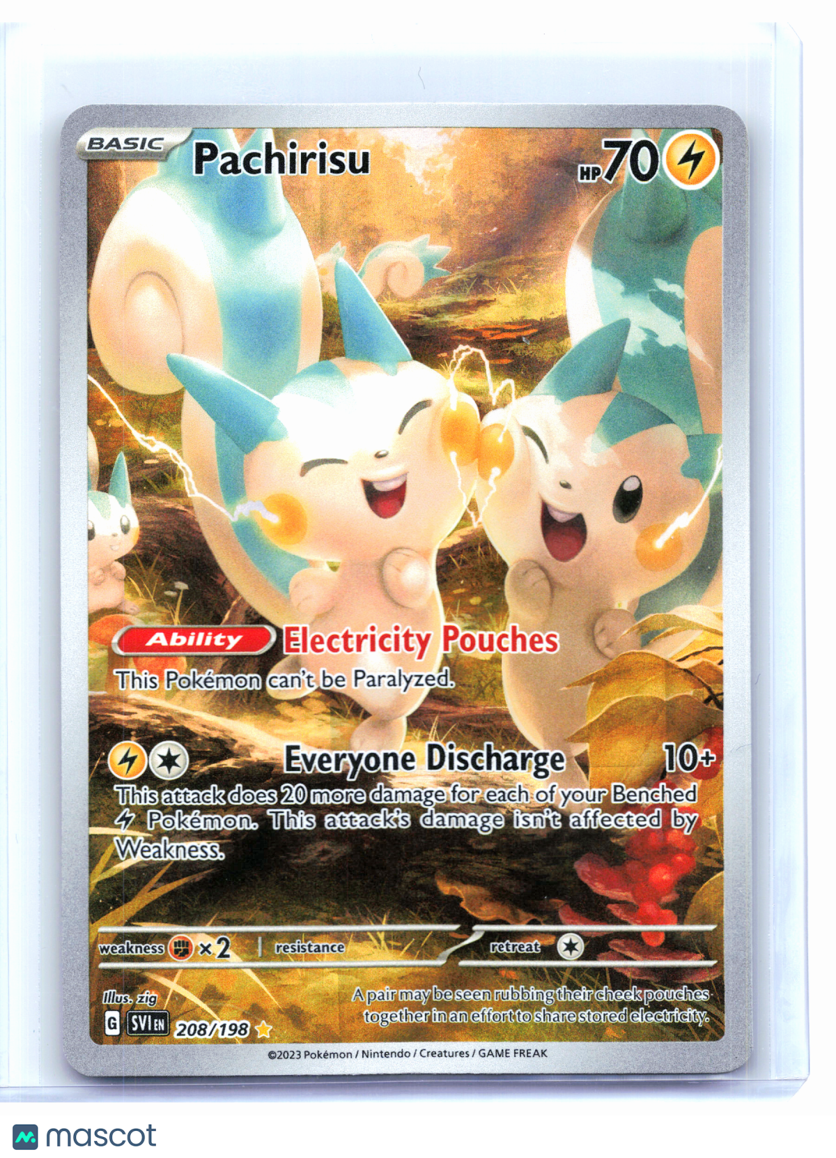 2023 Pokemon—Pachirisu #208/198 Scarlet & Violet Base Set—Illustration Rare Holo