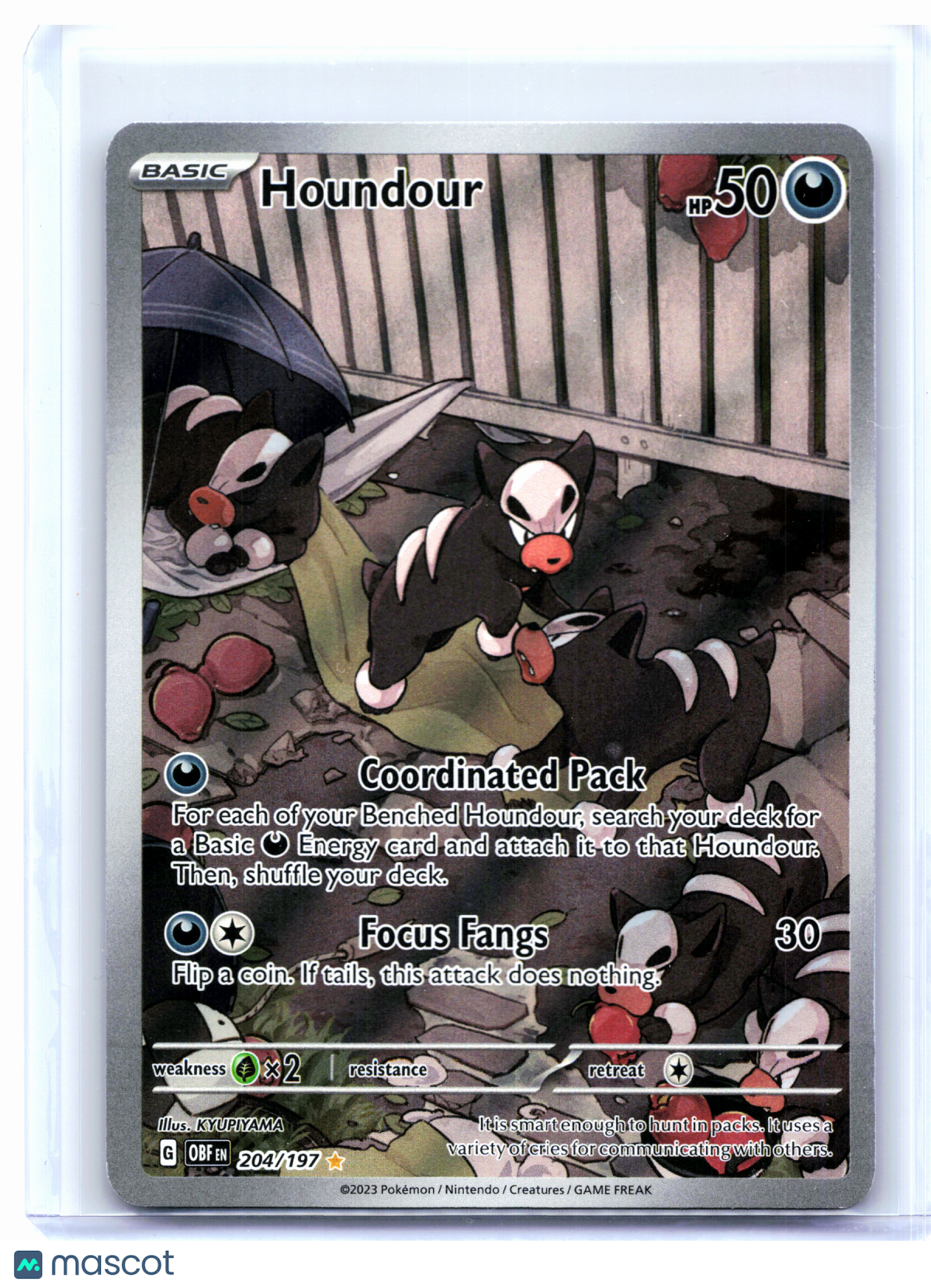 2023 Pokemon—Houndour #204/197 Obsidian Flames—Illustration Rare Holo