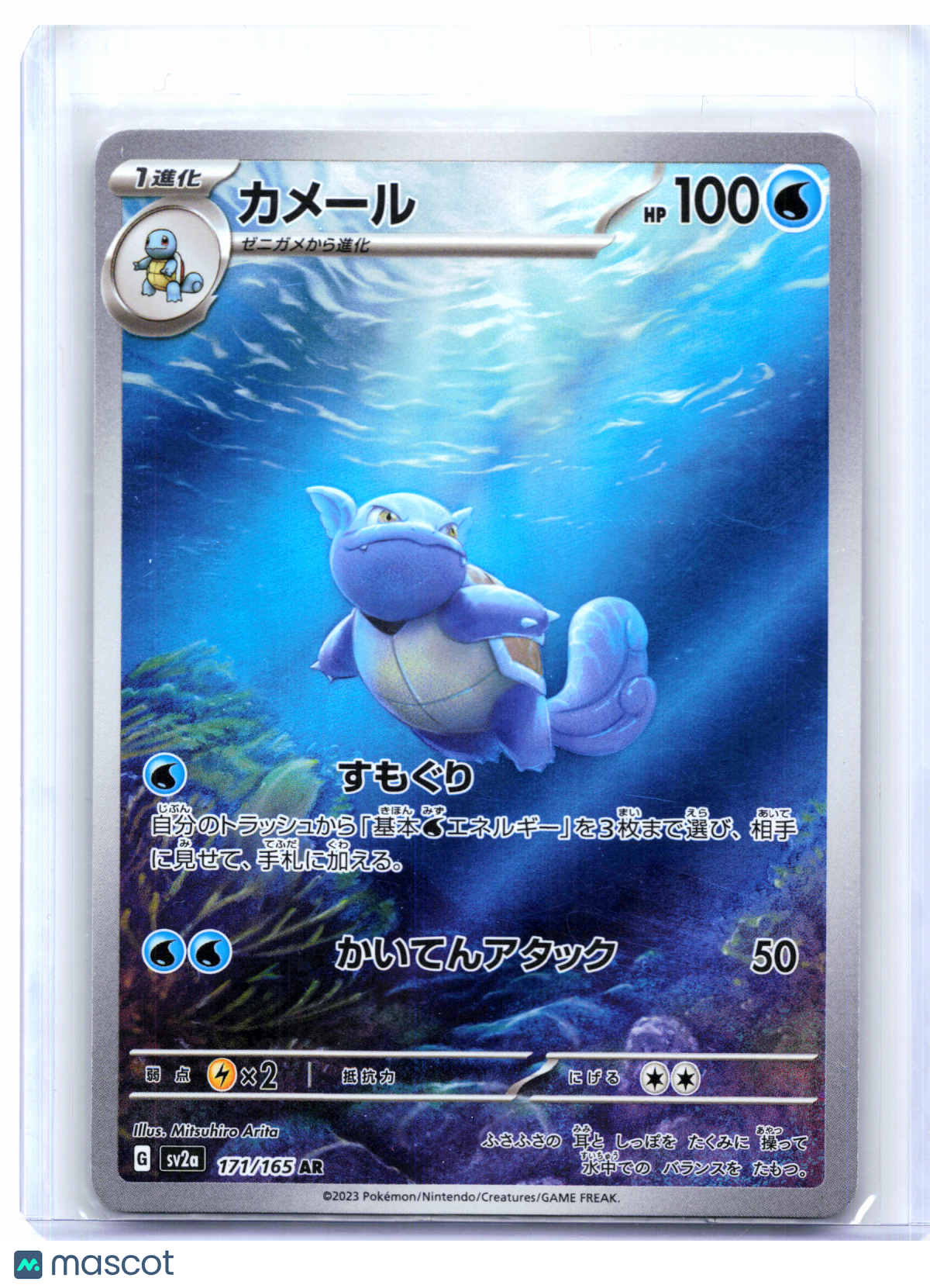 2023 Pokemon—Wartortle #171/165 Pokemon Card 151—Art Rare Holo Japanese