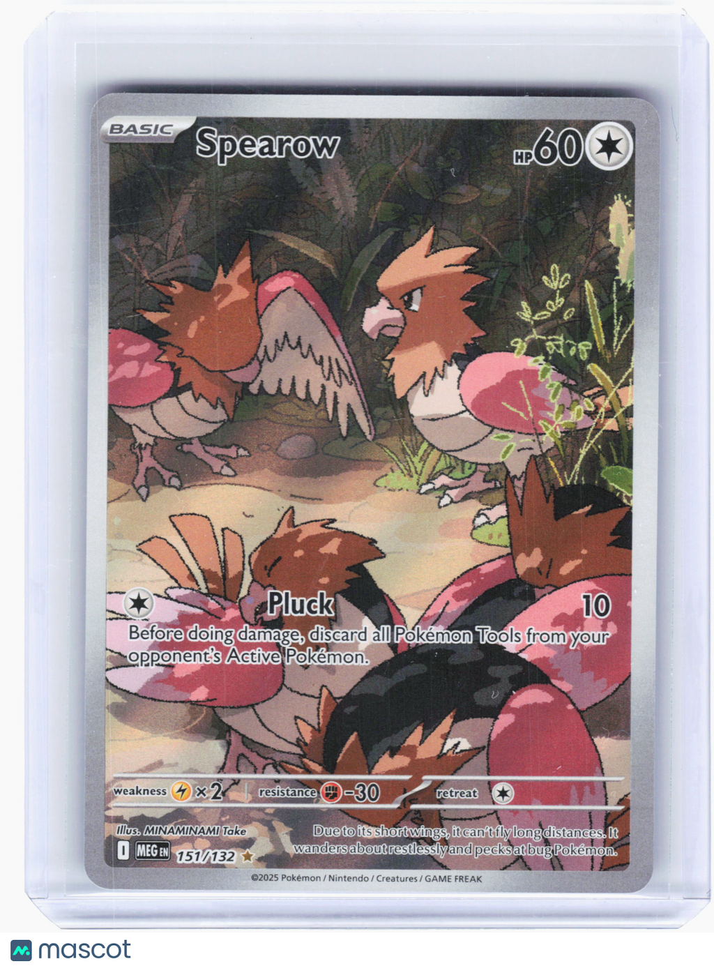 2025 Pokemon—Spearow #151 Mega Evolution—Illustration Rare Holo [Lightly Played]