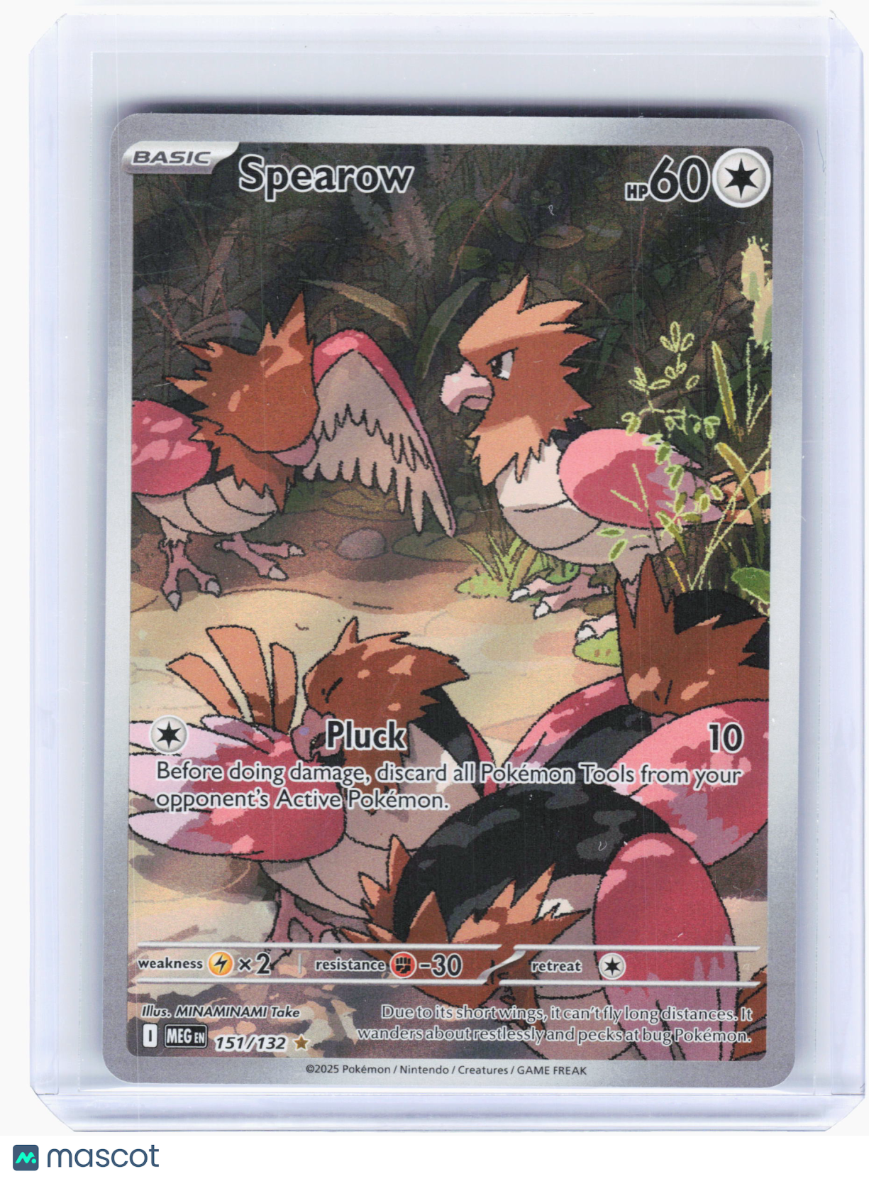 2025 Pokemon—Spearow #151 Mega Evolution—Illustration Rare Holo [Lightly Played]