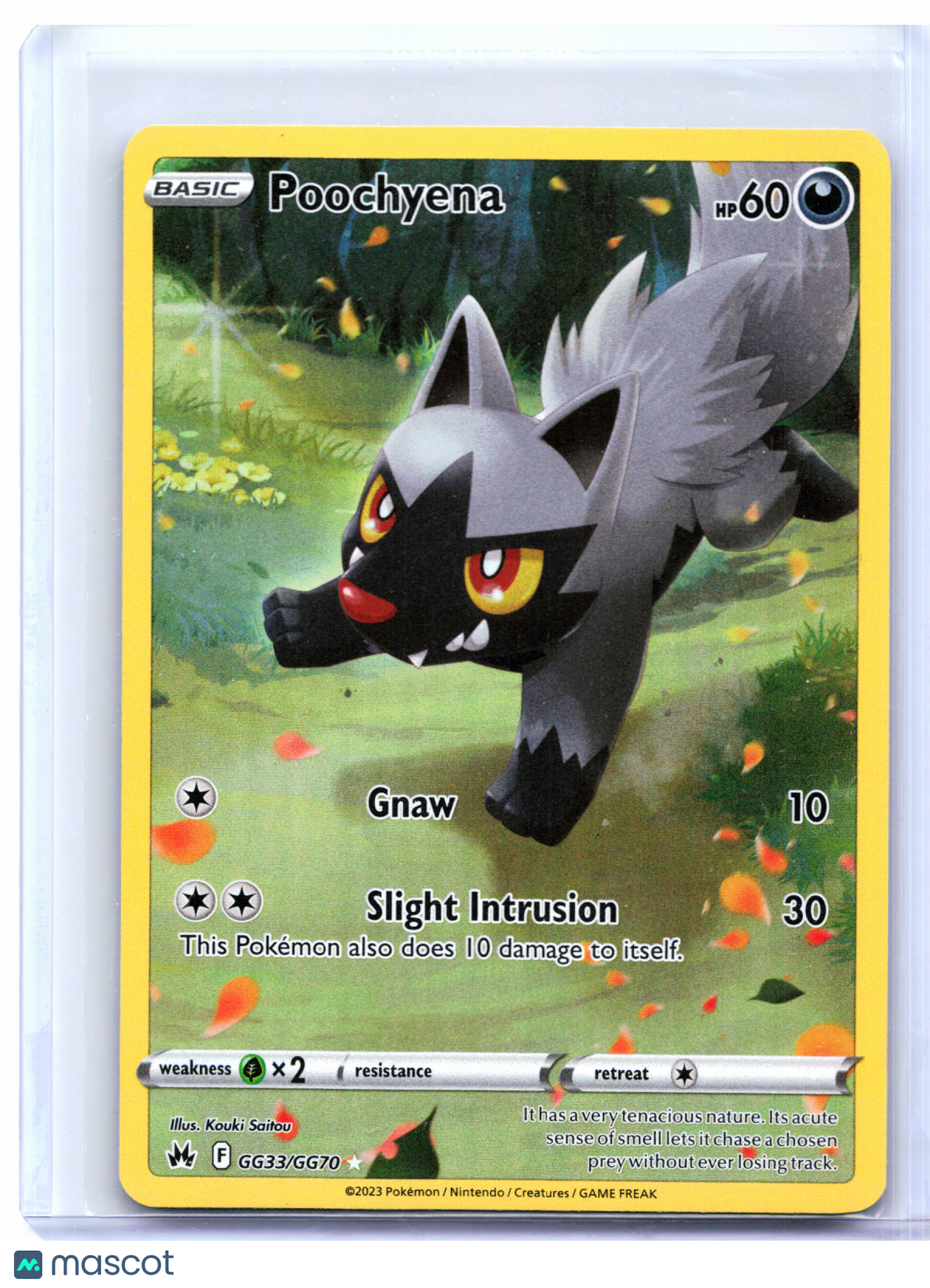 2023 Pokemon—Poochyena #GG33/GG70 Crown Zenith: Galarian Gallery—Ultra Rare [MP]
