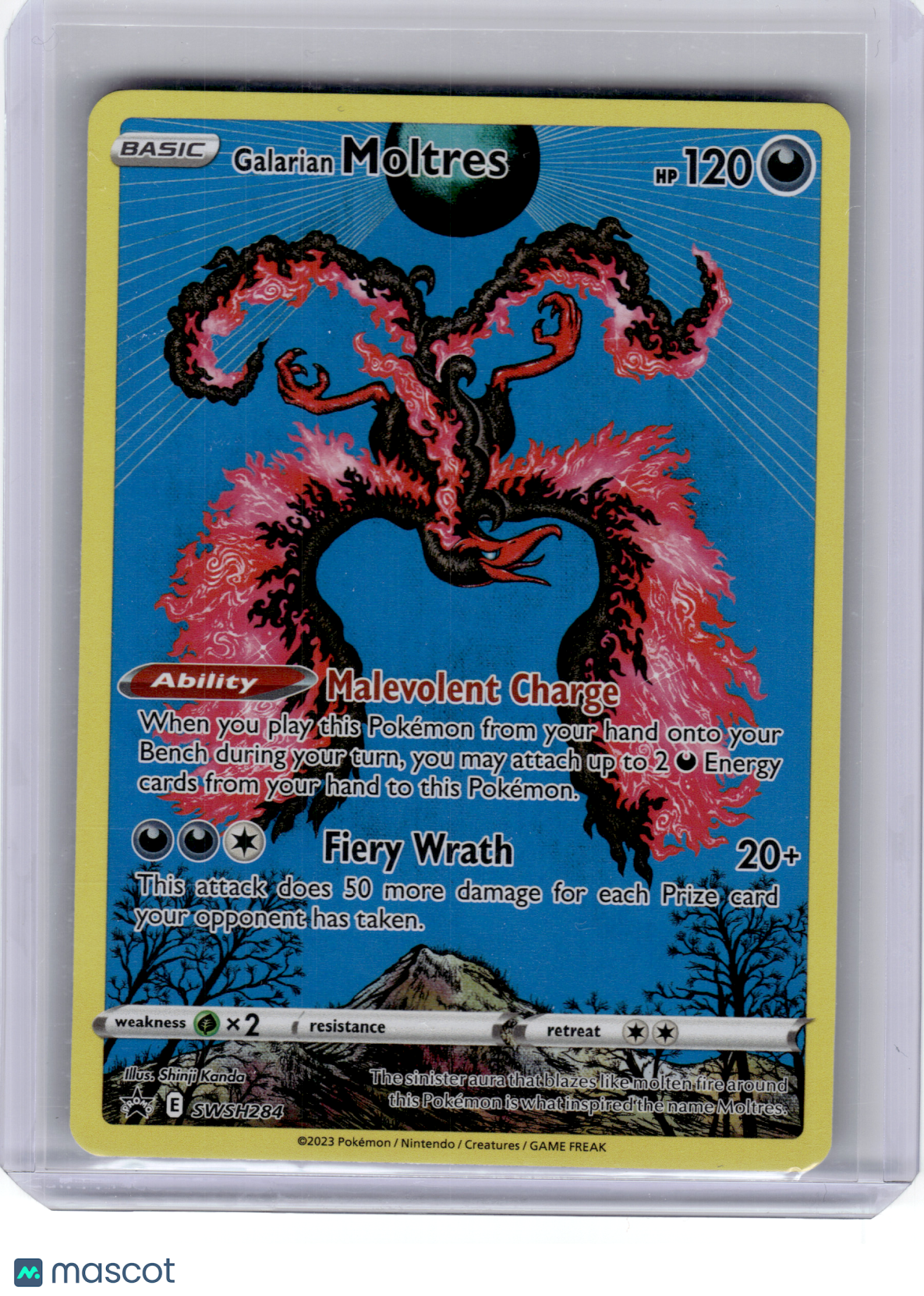 2023 Pokemon—Galarian Moltres #SWSH284 Sword & Shield—Black Star Promo Holo [LP]