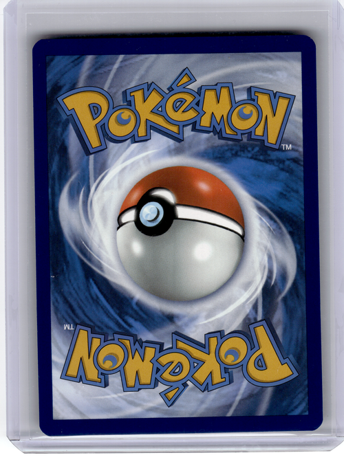 2023 Pokemon—Galarian Moltres #SWSH284 Sword & Shield—Black Star Promo Holo [LP]