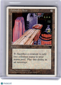1995 Magic: The Gathering—Ashnod's Altar Chronicles—Common [Heavily Played]