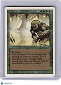 1994 Magic: The Gathering—Force of Nature Unlimited Edition—R [Heavily Played]