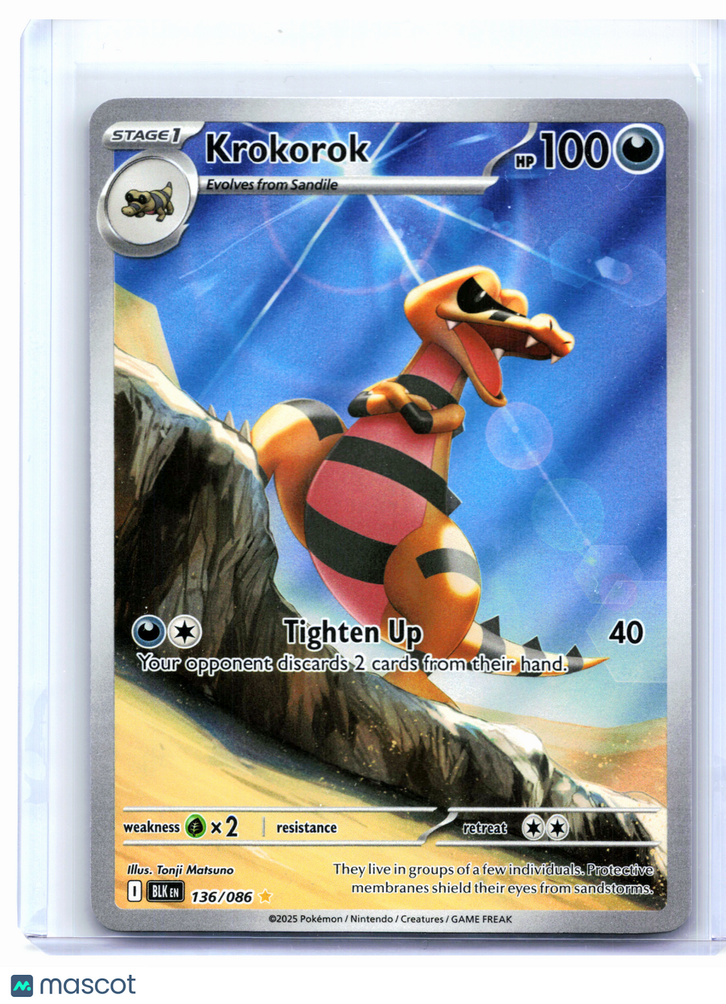 2025 Pokemon—Krokorok #136/086 Black Bolt—Illustration Rare Holo [LP]