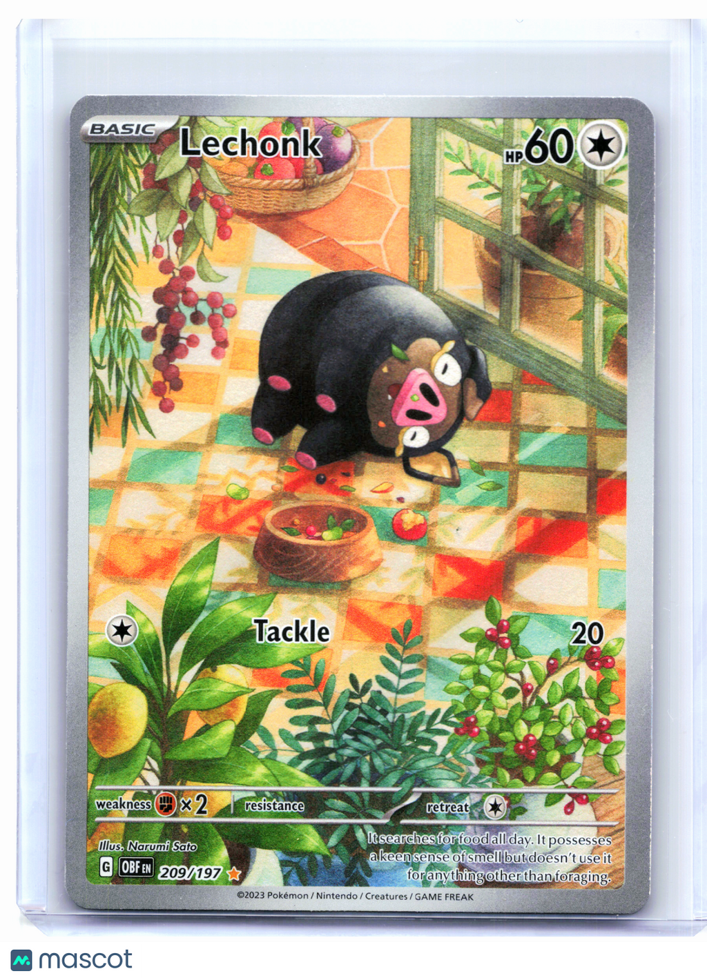 2023 Pokemon—Lechonk #209/197 Obsidian Flames—Illustration Rare Holo [MP]