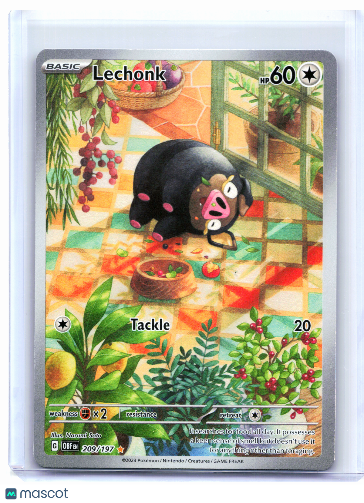2023 Pokemon—Lechonk #209/197 Obsidian Flames—Illustration Rare Holo [MP]