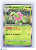 2025 Pokemon—Meganium #001 Mega Evolution Promo—Black Star Promo Foil