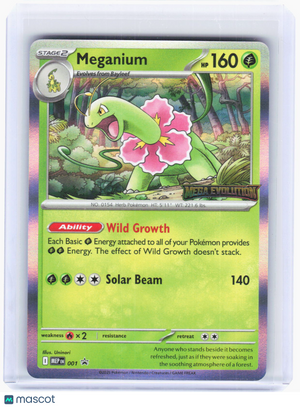 2025 Pokemon—Meganium #001 Mega Evolution Promo—Black Star Promo Foil