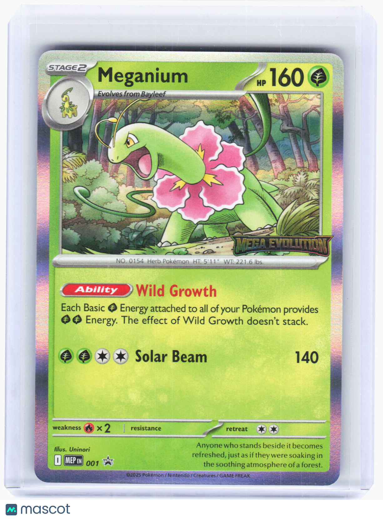 2025 Pokemon—Meganium #001 Mega Evolution Promo—Black Star Promo Foil