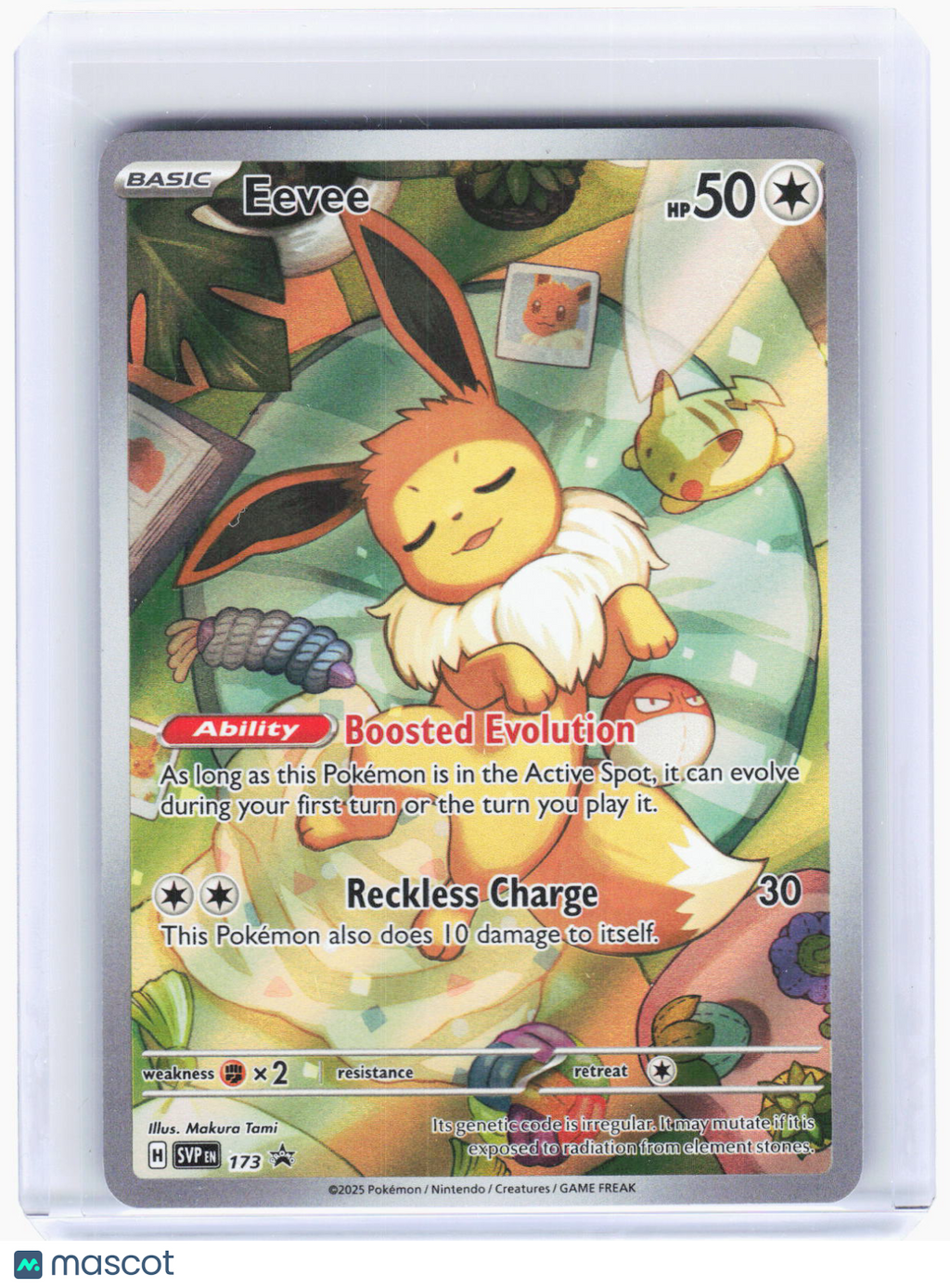 2025 Pokemon—Eevee #SVP EN 173 Scarlet & Violet Promo Cards—BSP Foil (Damaged)