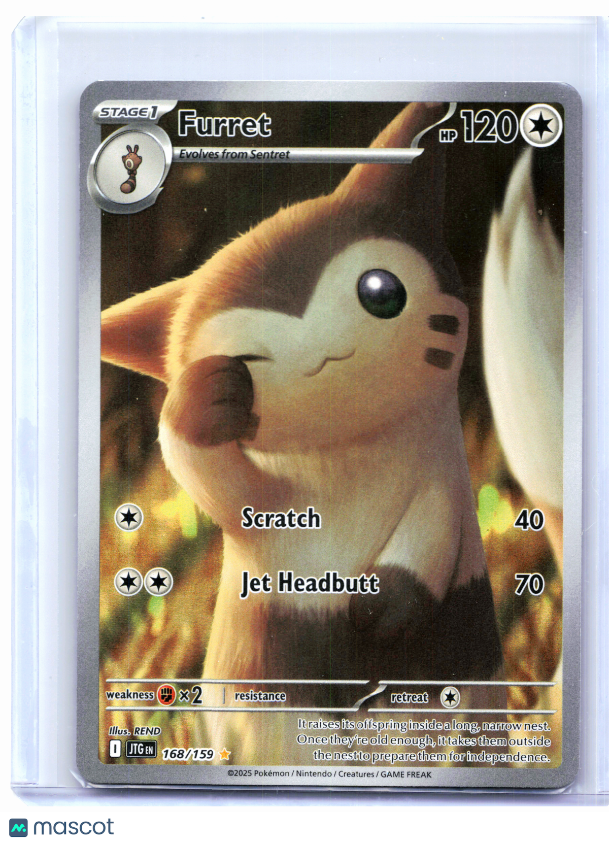 2025 Pokemon—Furret #168/159 Journey Together—Illustration Rare Holo