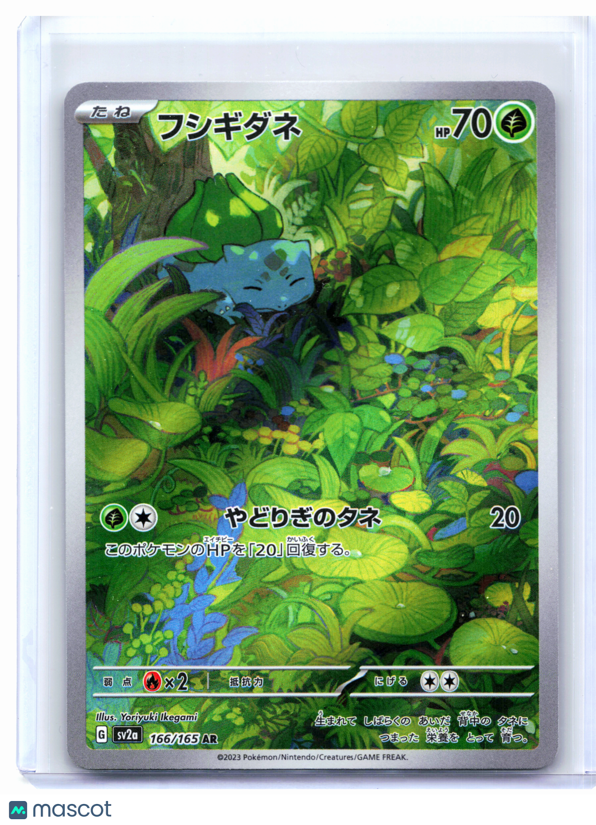 2023 Pokemon—Bulbasaur #166/165 Pokemon Card 151—Art Rare Holo Japanese