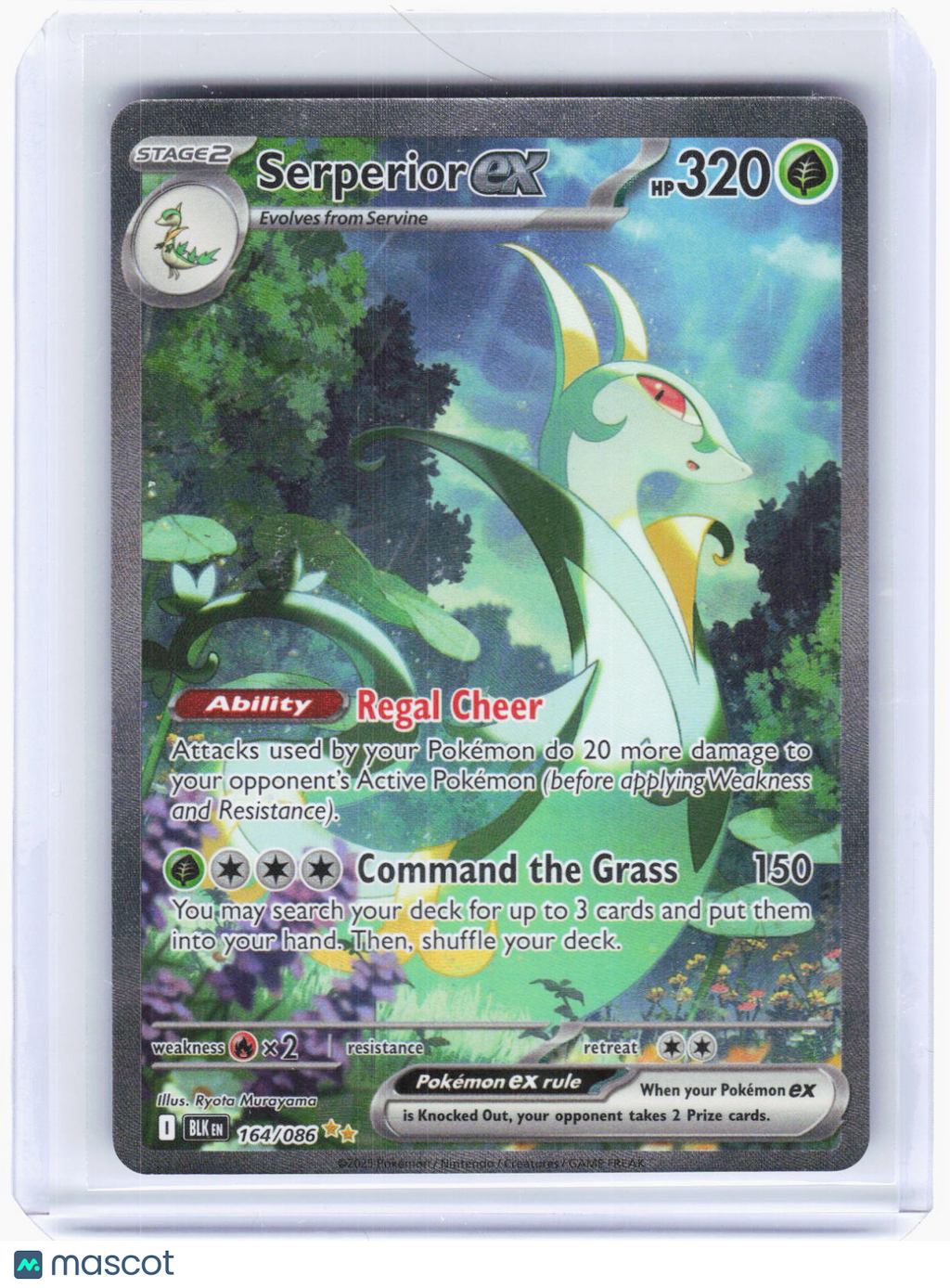 2025 Pokemon—Serperior ex #164/86 Black Bolt—Special Illustration Rare Holo