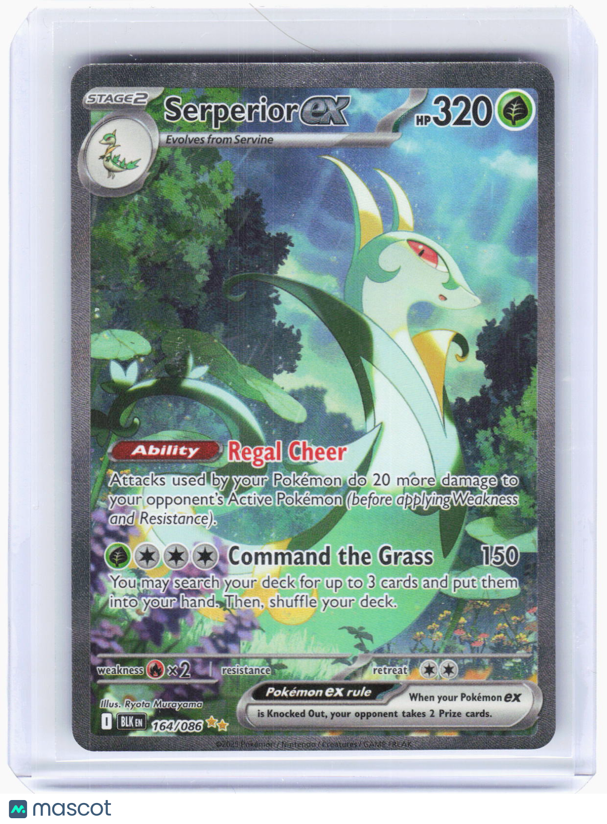 2025 Pokemon—Serperior ex #164/86 Black Bolt—Special Illustration Rare Holo