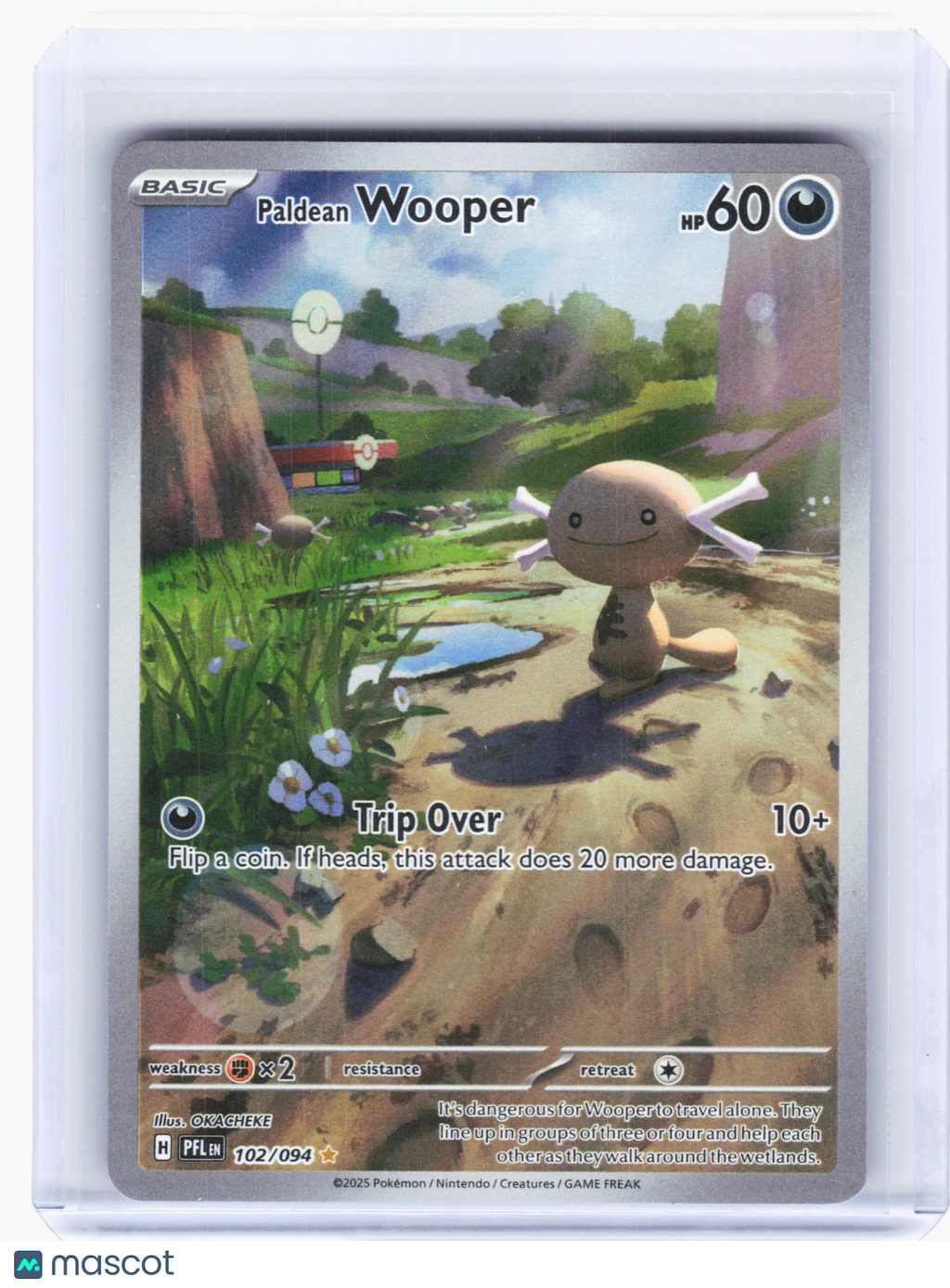 2025 Pokemon—Paldean Wooper #102 Phantasmal Flames—Illustration Rare Holo