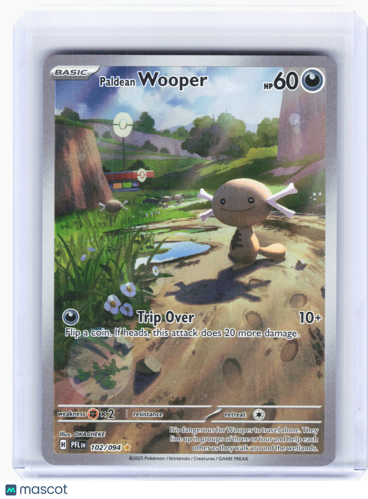 2025 Pokemon—Paldean Wooper #102 Phantasmal Flames—Illustration Rare Holo