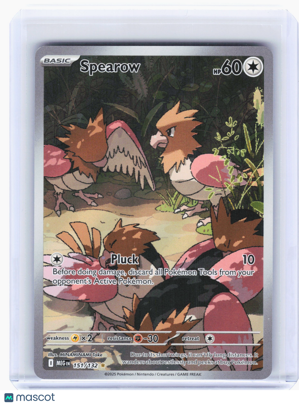 2025 Pokemon—Spearow #151 Mega Evolution—Illustration Rare Holo