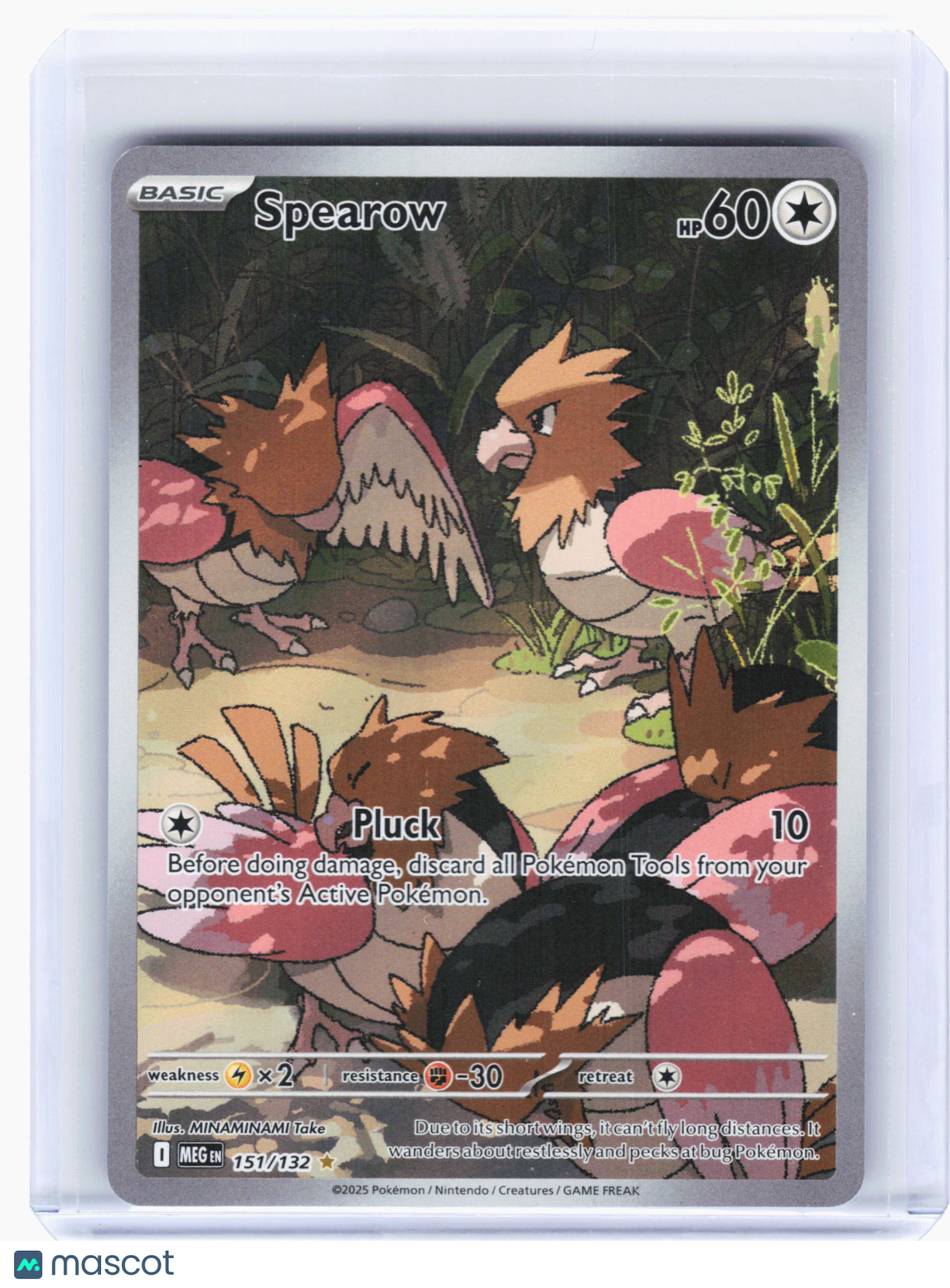 2025 Pokemon—Spearow #151 Mega Evolution—Illustration Rare Holo