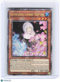 2024 Yu-Gi-Oh!—Ghost Sister & Spooky Dogwood #RA03-EN020—QCSR Foil