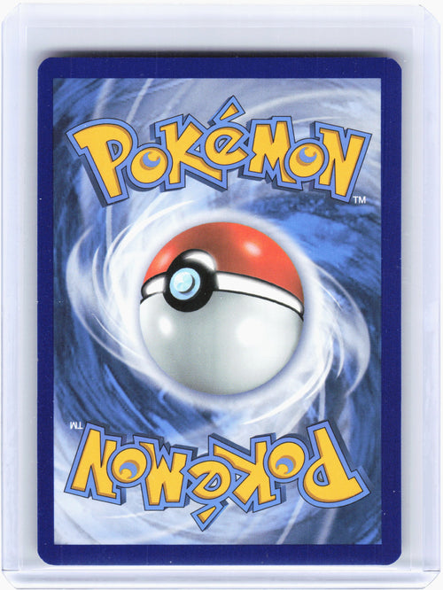 2021 Pokemon—Eevee #118 Sword & Shield Promo Cards—Black Star Promo Holo