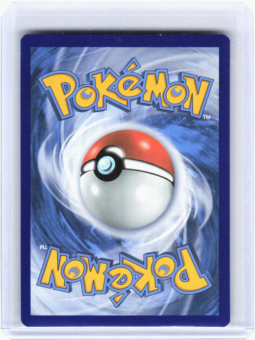 2021 Pokemon—Eevee #095 Sword & Shield Promo Cards—Black Star Promo Holo
