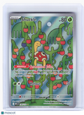 2025 Pokemon—Shuckle #136 Mega Evolution—Illustration Rare Holo