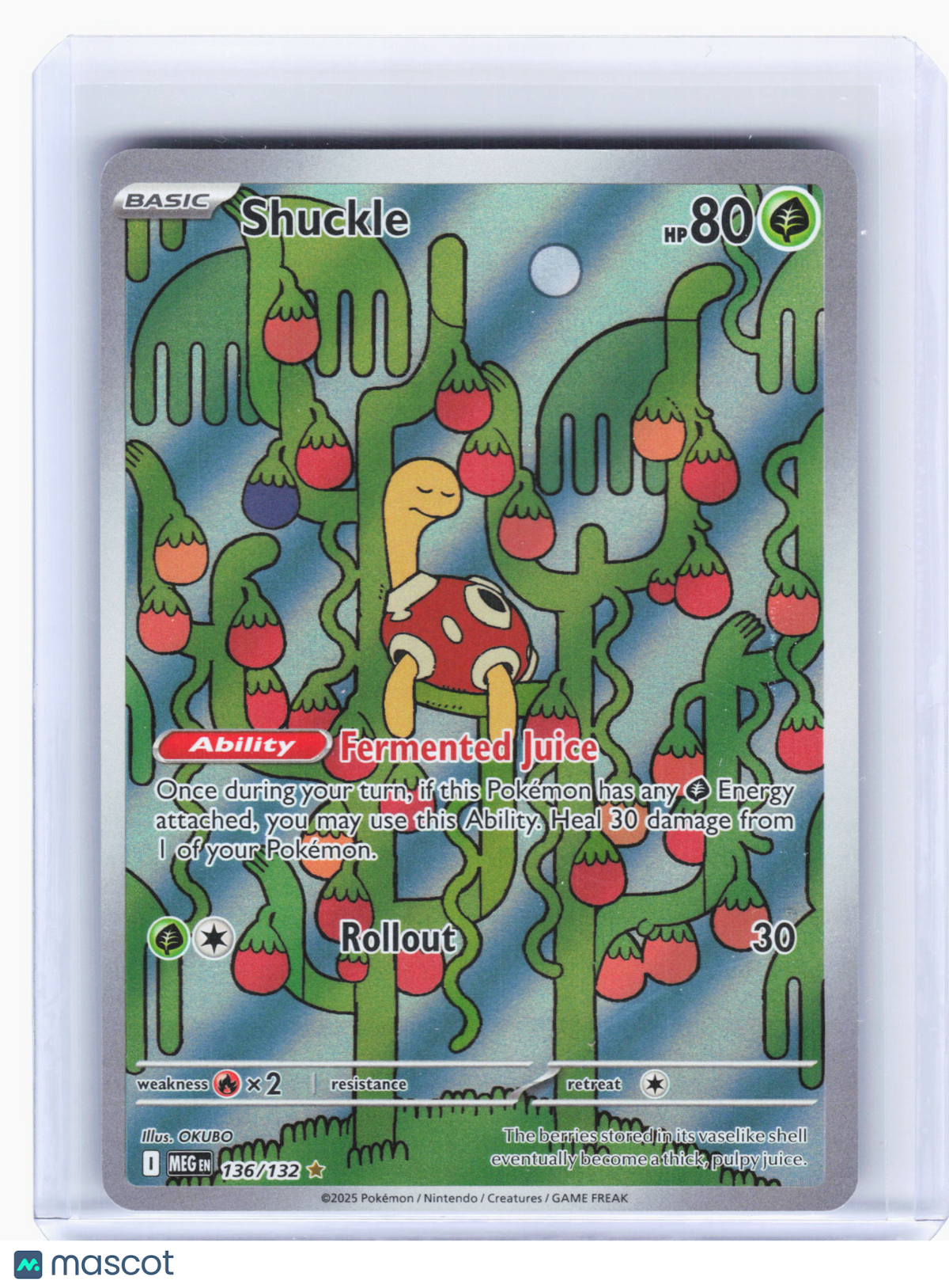 2025 Pokemon—Shuckle #136 Mega Evolution—Illustration Rare Holo