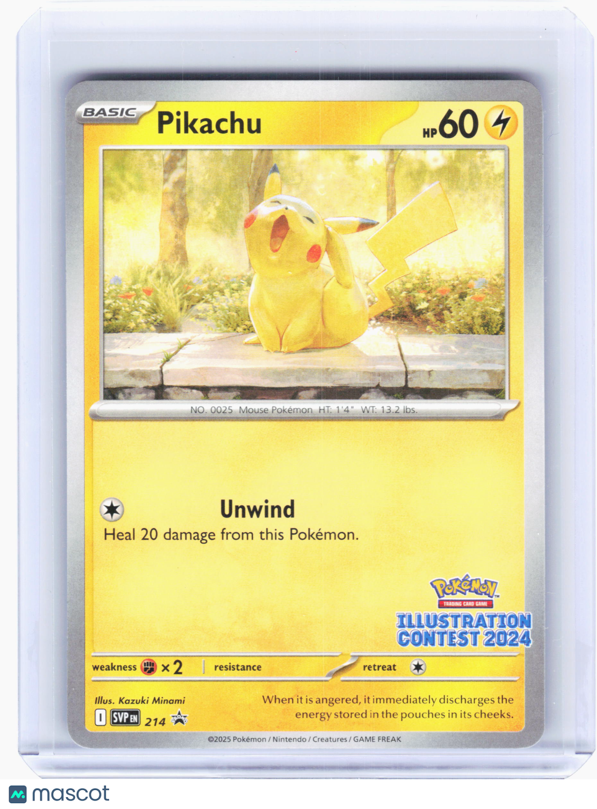 2025 Pokemon—Pikachu #214 SVP—Black Star Promo (Illustration Contest 2024) [LP]