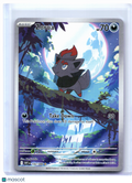 2025 Pokemon—Zorua #142/086 White Flare—Illustration Rare Holo