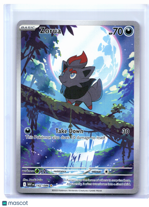 2025 Pokemon—Zorua #142/086 White Flare—Illustration Rare Holo