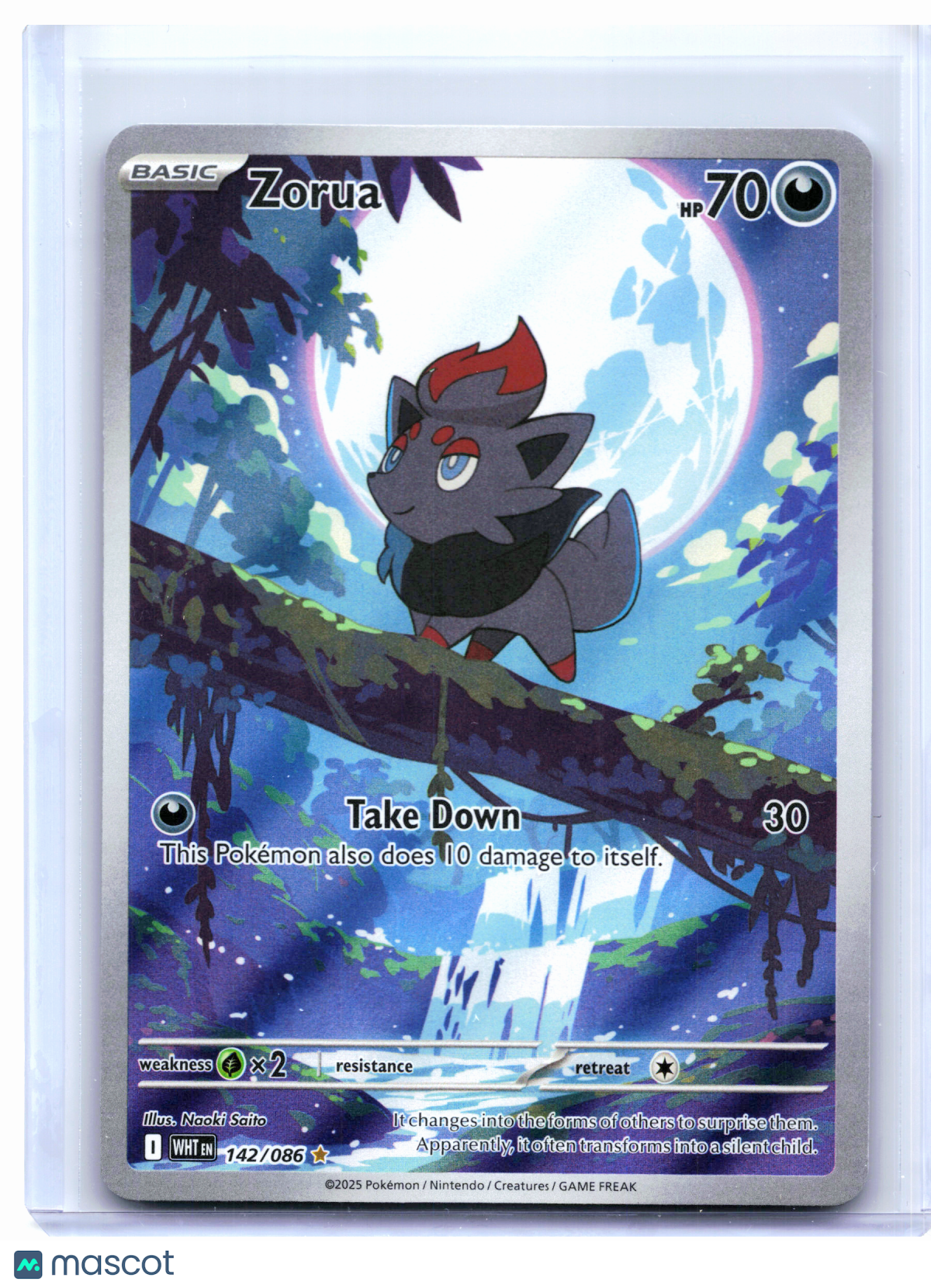 2025 Pokemon—Zorua #142/086 White Flare—Illustration Rare Holo