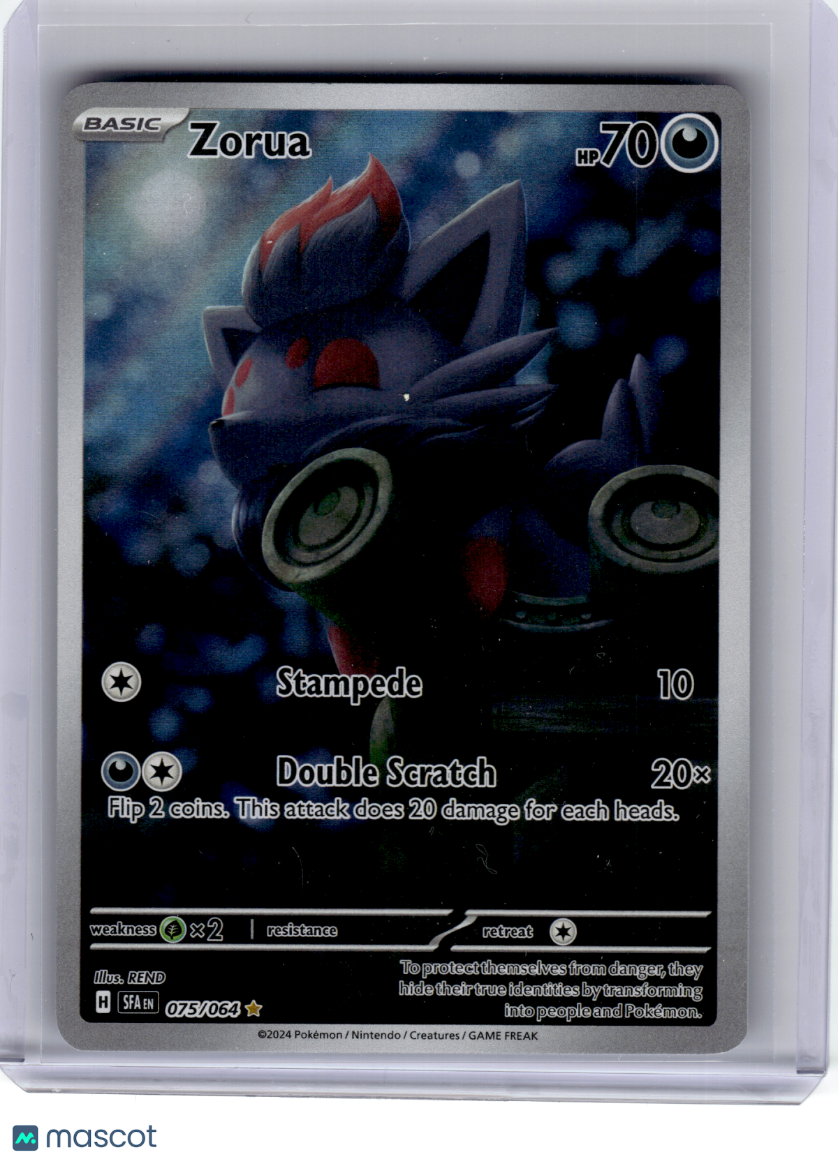2024 Pokemon—Zorua #75 Shrouded Fable—Illustration Rare Holo