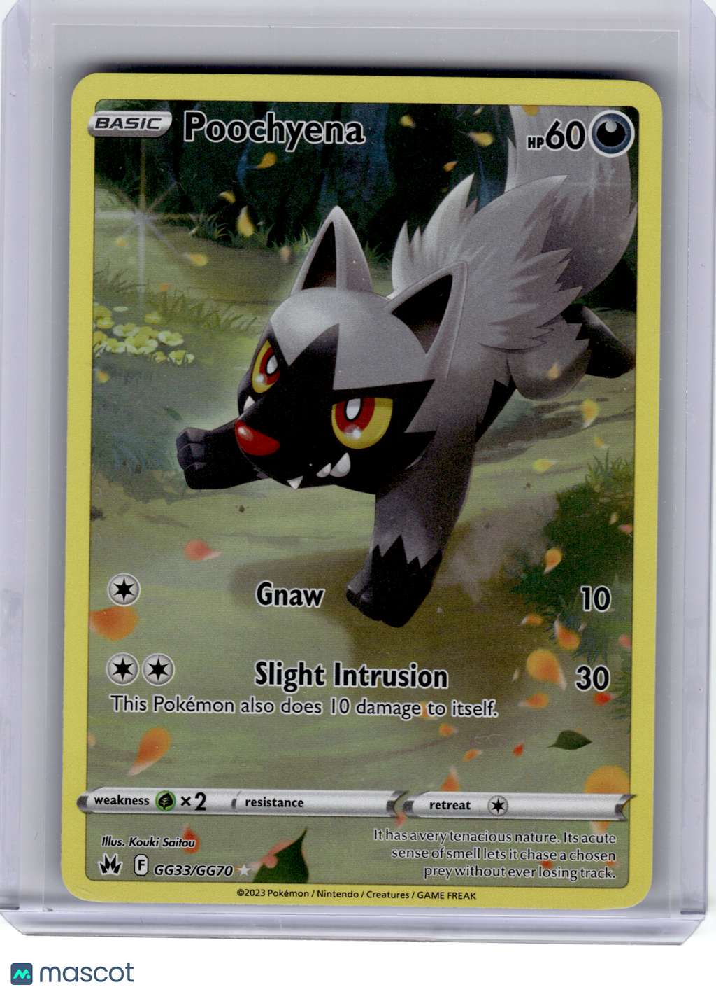 2023 Pokemon—Poochyena #GG33 Crown Zenith: Galarian Gallery—Ultra Rare Holo [LP]
