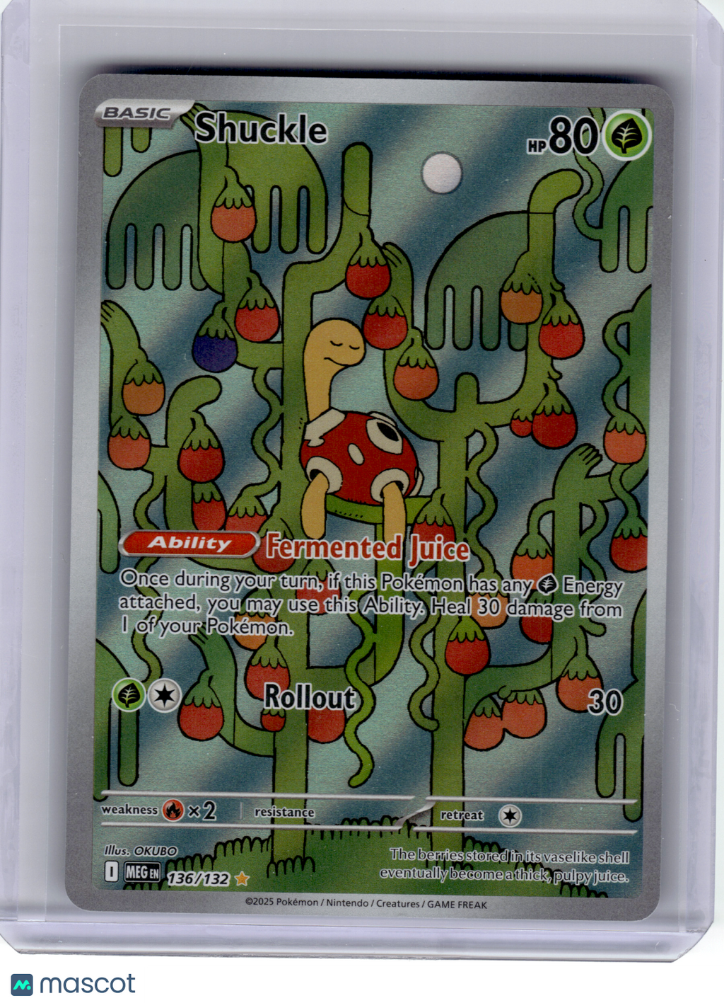 2025 Pokemon—Shuckle #136 Mega Evolution—Illustration Rare Holo [Lightly Played]