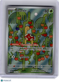 2025 Pokemon—Shuckle #136 Mega Evolution—Illustration Rare Holo [Lightly Played]