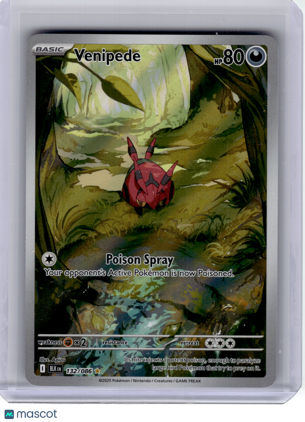 2025 Pokemon—Venipede #132 Black Bolt—Illustration Rare Holo [Lightly Played]