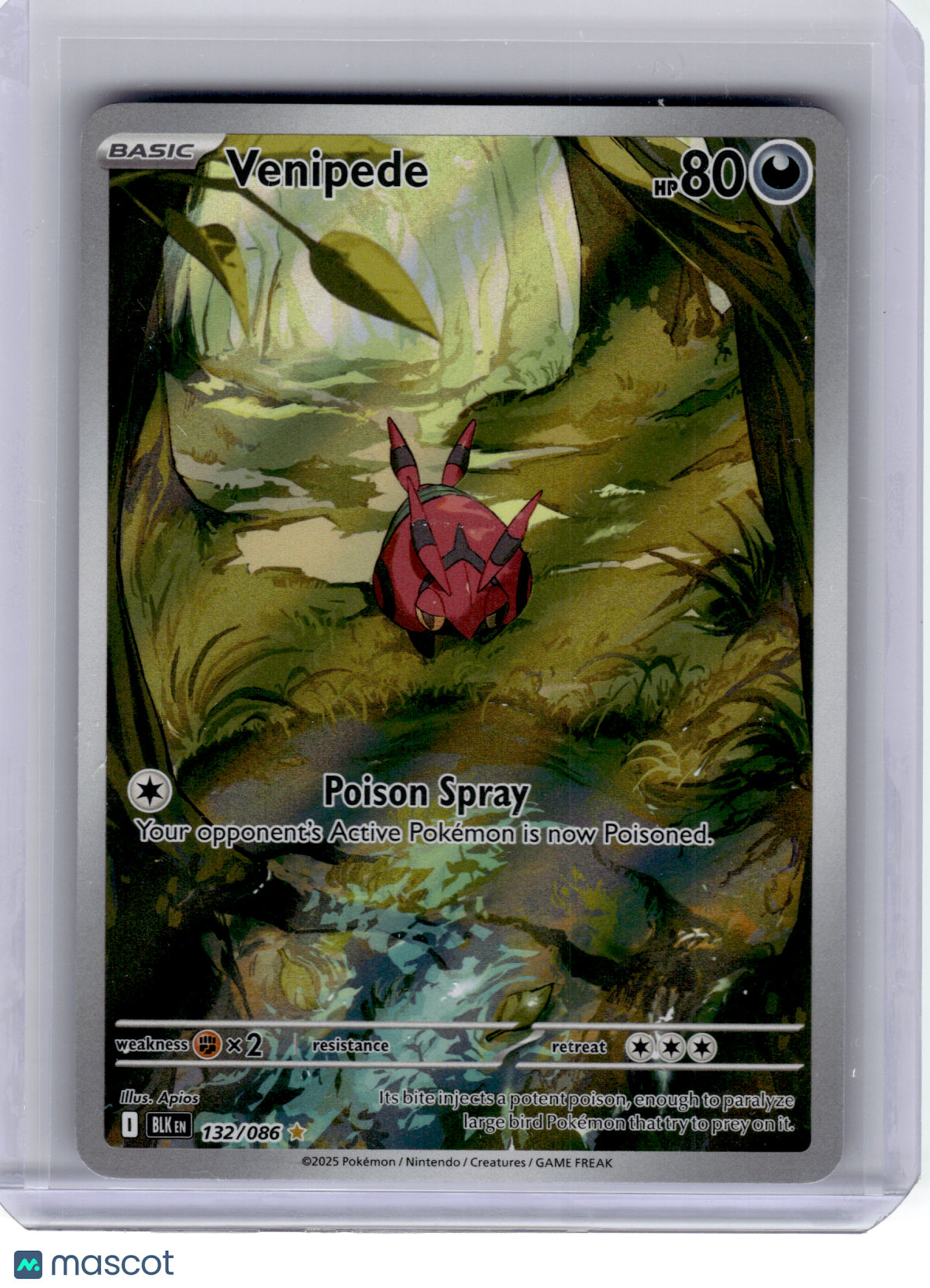 2025 Pokemon—Venipede #132 Black Bolt—Illustration Rare Holo [Lightly Played]