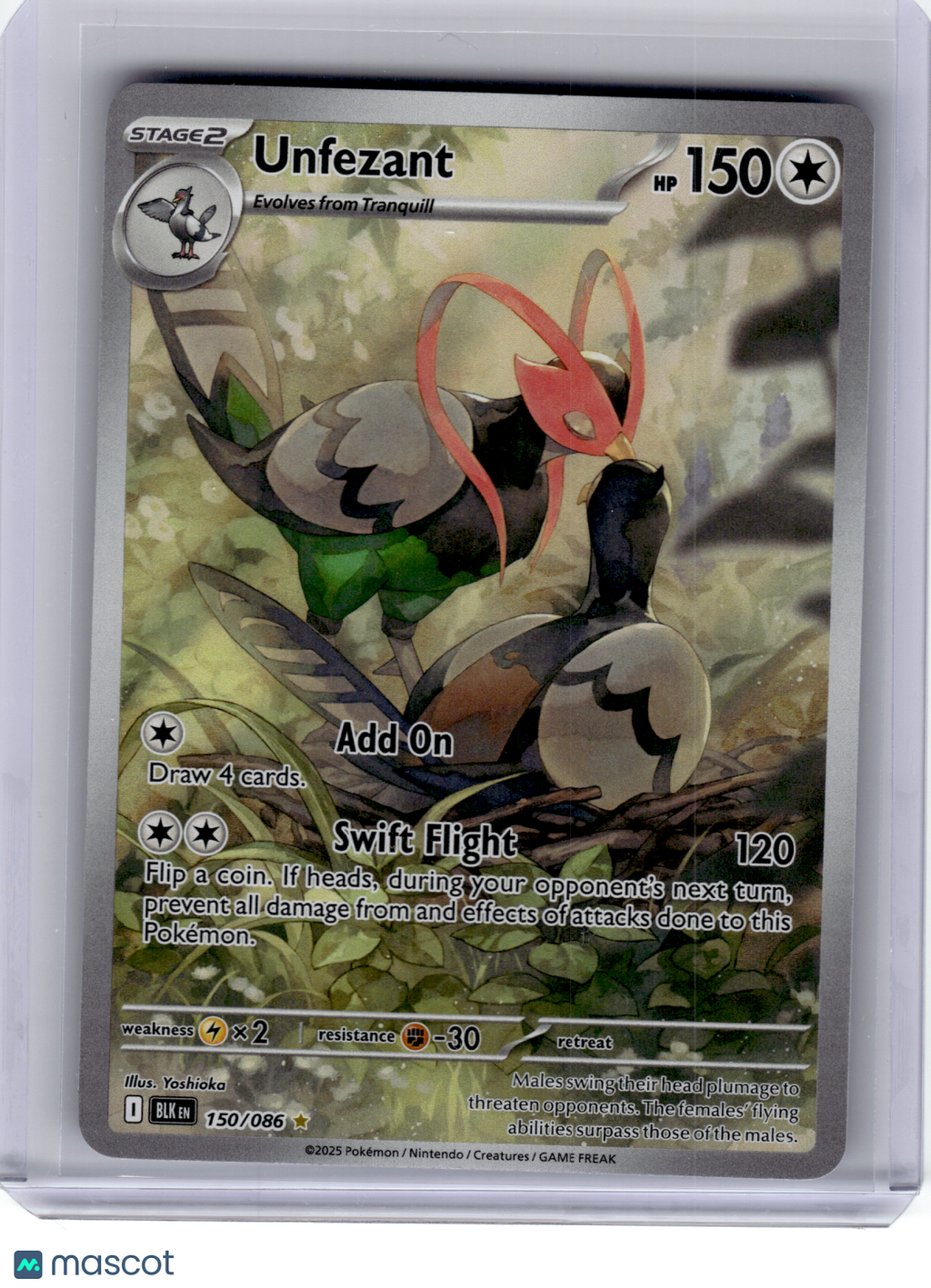 2025 Pokemon—Unfezant #150 Black Bolt—Illustration Rare Holo [Lightly Played]
