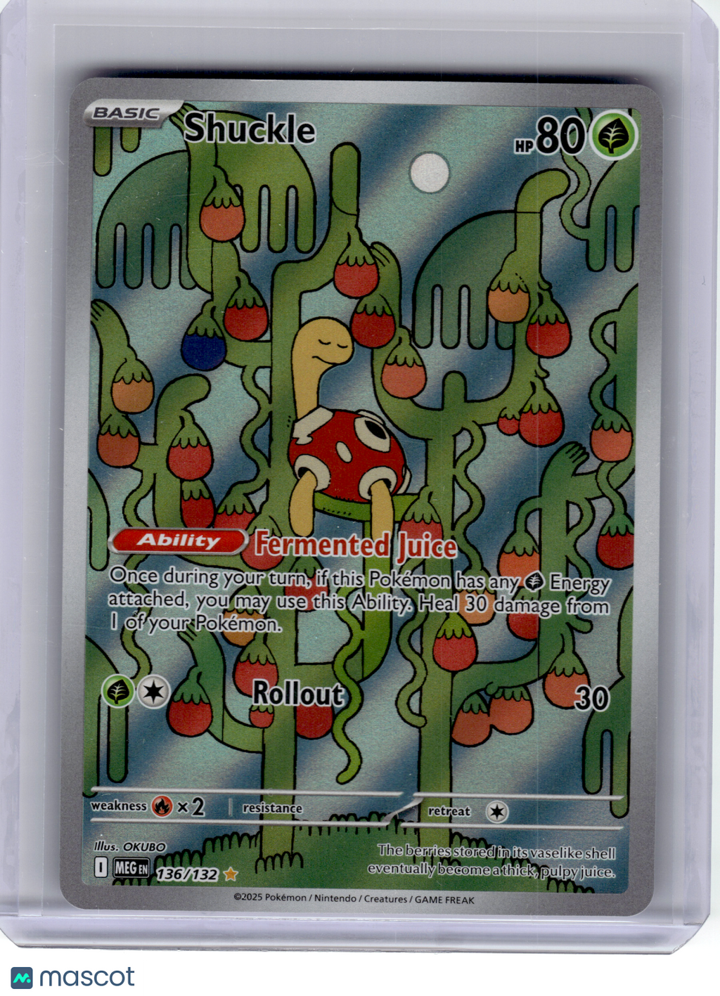 2025 Pokemon—Shuckle #136 Mega Evolution—Illustration Rare Holo
