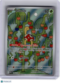 2025 Pokemon—Shuckle #136 Mega Evolution—Illustration Rare Holo