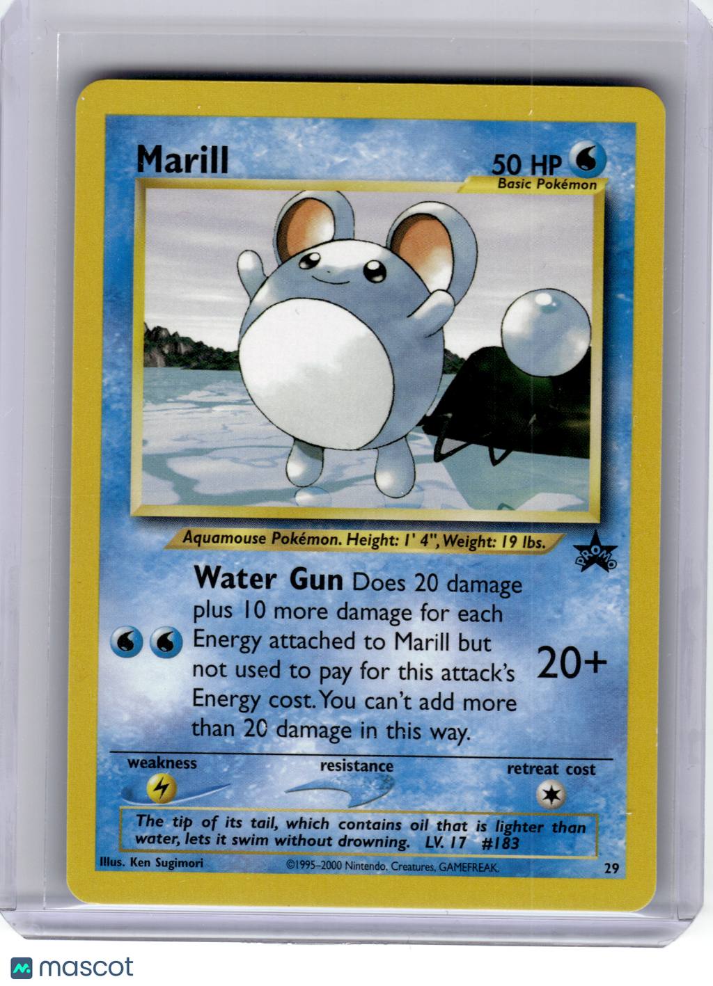 2000 Pokemon—Marill #29 WoTC Promo—Black Star Promo Nonholo