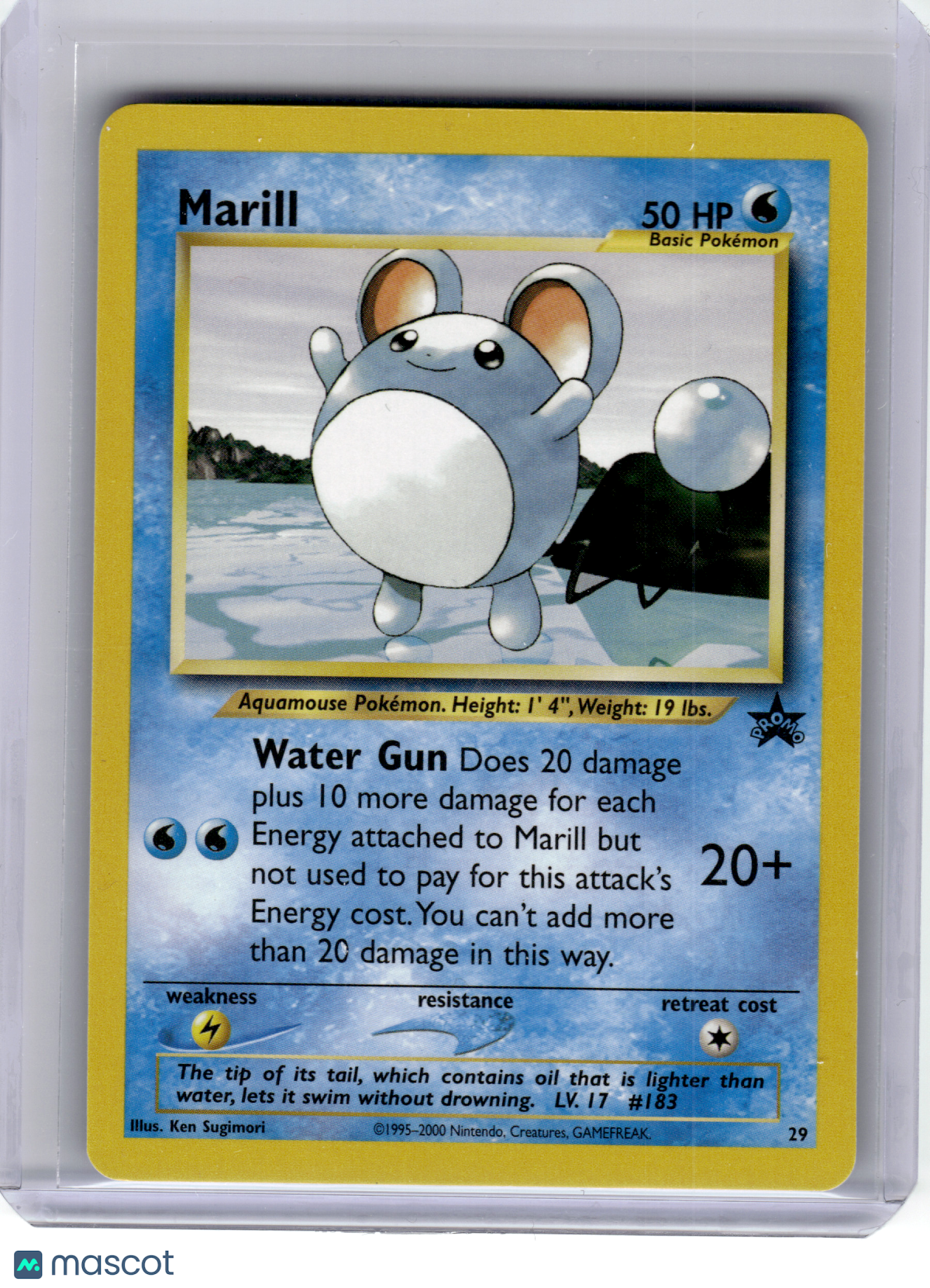 2000 Pokemon—Marill #29 WoTC Promo—Black Star Promo Nonholo